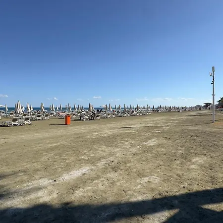 아파트 Flora Beachfront Finikoudes